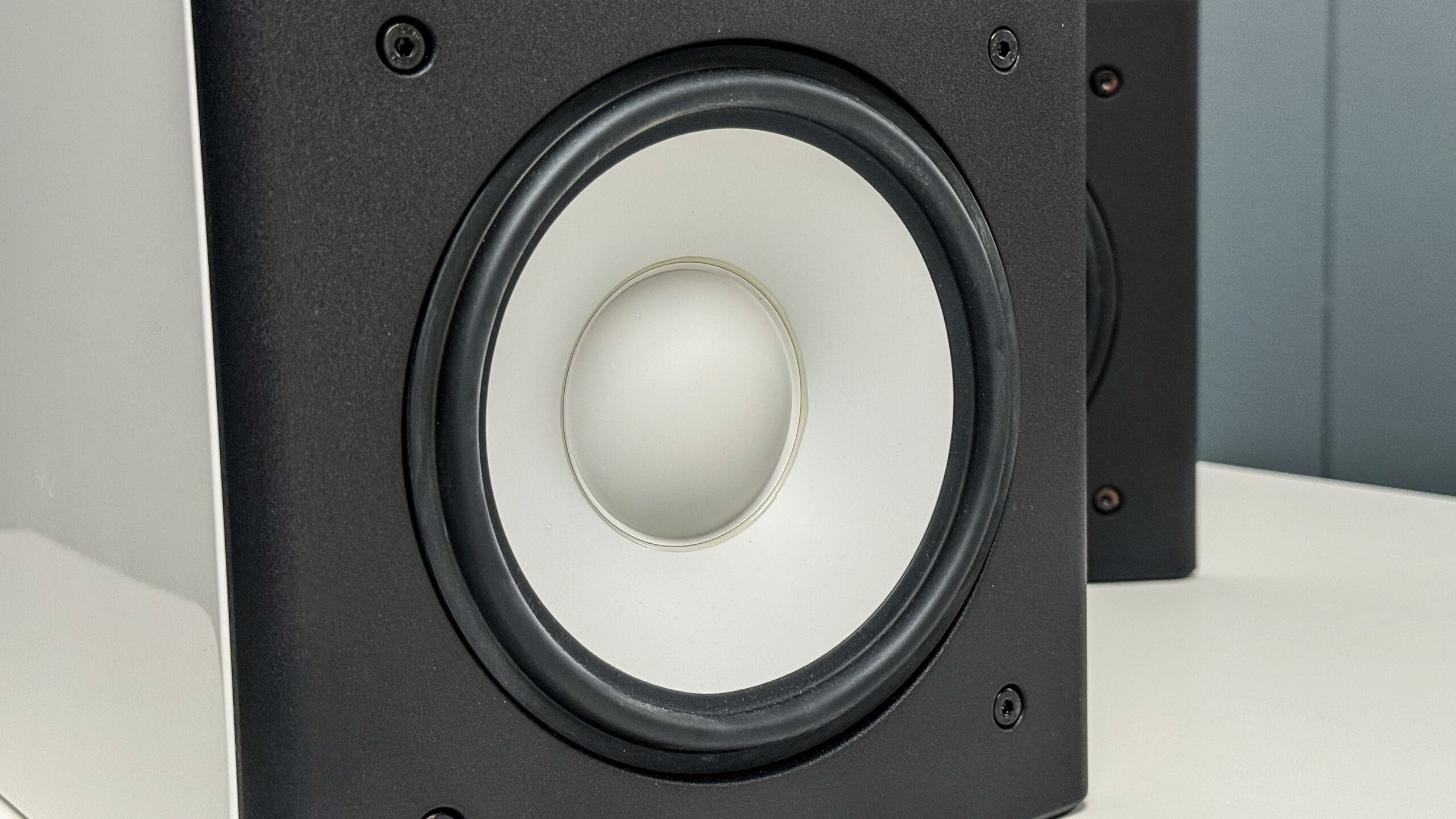 Raidho X1.6 bass GeirNordby 4